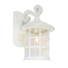 Indra 1 Light Exterior Wall Light